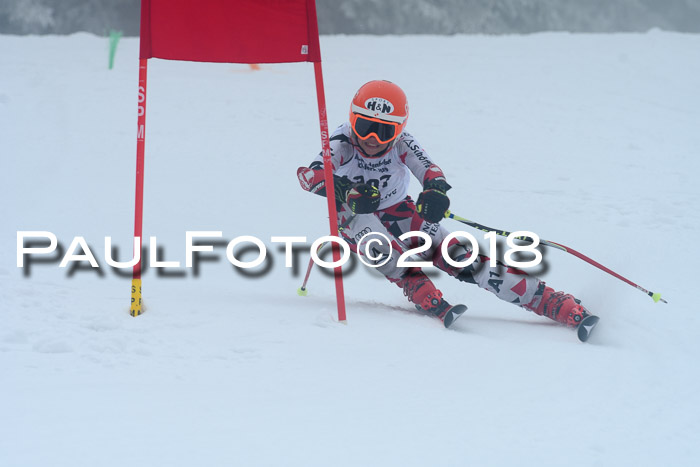 Werdenfelser Kinderskitag, Bambini +Kinder JG 2007, 18.03.2018