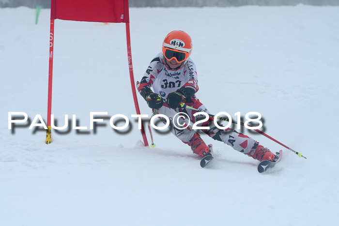 Werdenfelser Kinderskitag, Bambini +Kinder JG 2007, 18.03.2018