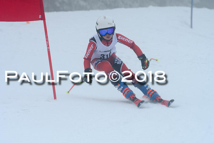 Werdenfelser Kinderskitag, Bambini +Kinder JG 2007, 18.03.2018