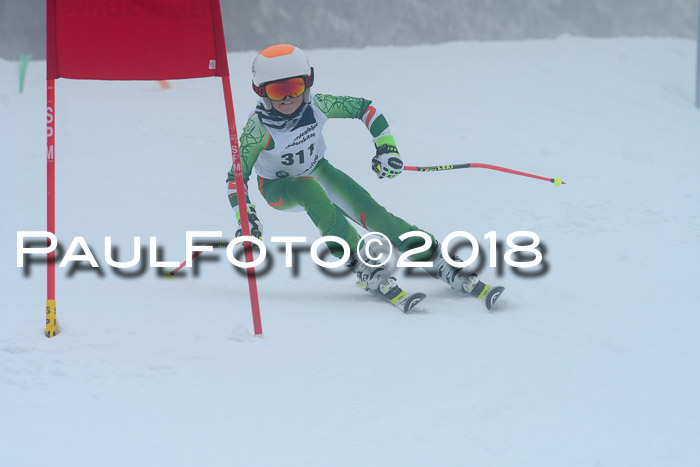 Werdenfelser Kinderskitag, Bambini +Kinder JG 2007, 18.03.2018