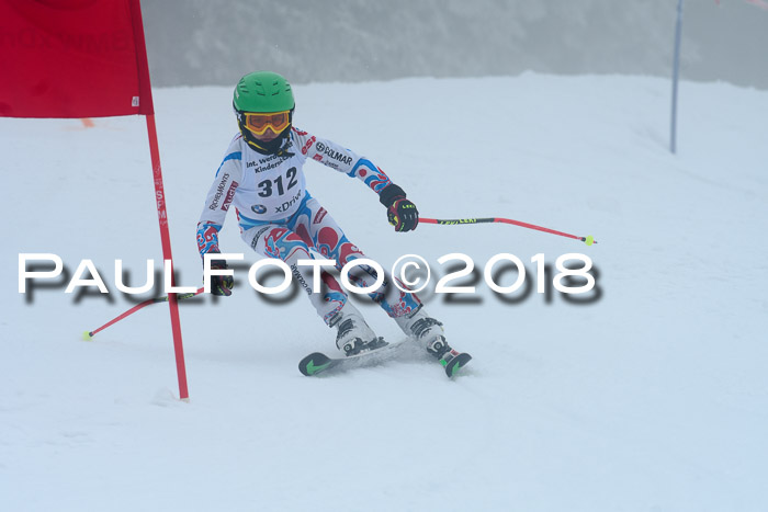 Werdenfelser Kinderskitag, Bambini +Kinder JG 2007, 18.03.2018