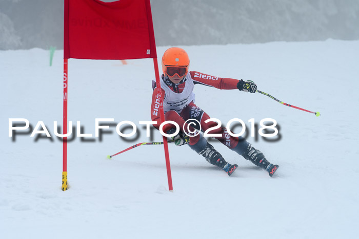 Werdenfelser Kinderskitag, Bambini +Kinder JG 2007, 18.03.2018