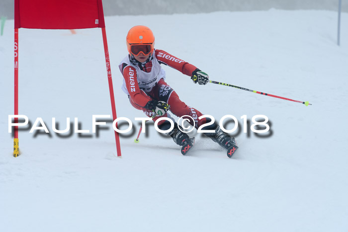 Werdenfelser Kinderskitag, Bambini +Kinder JG 2007, 18.03.2018