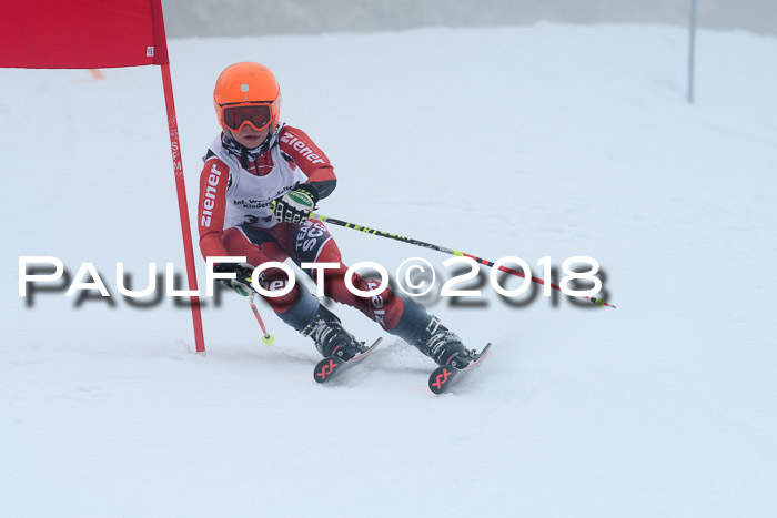 Werdenfelser Kinderskitag, Bambini +Kinder JG 2007, 18.03.2018