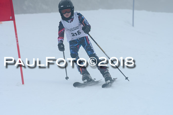 Werdenfelser Kinderskitag, Bambini +Kinder JG 2007, 18.03.2018