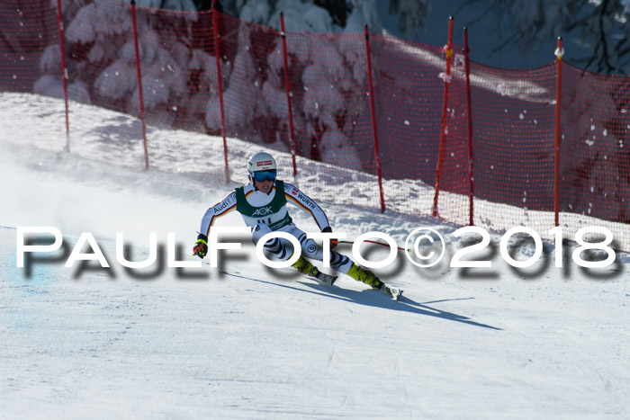 FIS, Int. Dt. Meisterschaft Abfahrt, Training, NC, NJC Damen + Herren, 22.03.2018