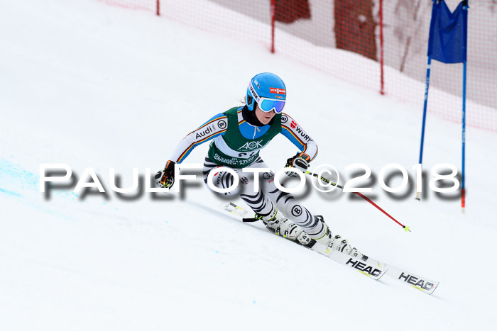 FIS, Int. Dt. Meisterschaft Super-G, NC,  Damen + Herren, 23.03.2018