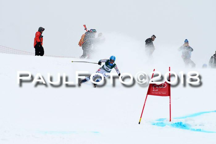 FIS, Int. Dt. Meisterschaft Super-G, NC,  Damen + Herren, 23.03.2018