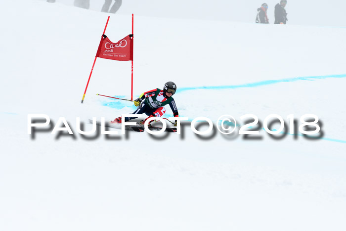 FIS, Int. Dt. Meisterschaft Super-G, NC,  Damen + Herren, 23.03.2018