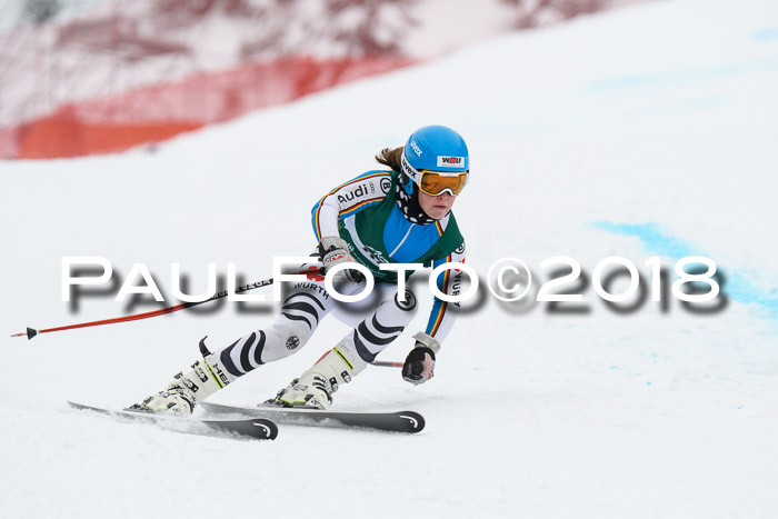 FIS, Int. Dt. Meisterschaft Super-G, NC,  Damen + Herren, 23.03.2018