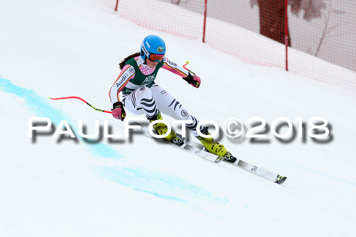 FIS, Int. Dt. Meisterschaft Super-G, NC,  Damen + Herren, 23.03.2018