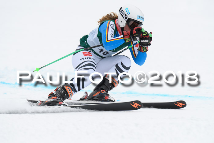 FIS, Int. Dt. Meisterschaft Super-G, NC,  Damen + Herren, 23.03.2018