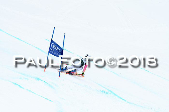 FIS, Int. Dt. Meisterschaft Super-G, NC,  Damen + Herren, 23.03.2018