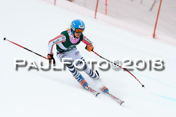 FIS, Int. Dt. Meisterschaft Super-G, NC,  Damen + Herren, 23.03.2018