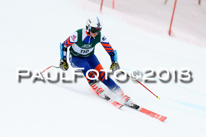 FIS, Int. Dt. Meisterschaft Super-G, NC,  Damen + Herren, 23.03.2018