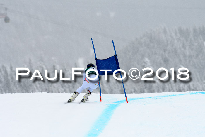 FIS, Int. Dt. Meisterschaft Super-G, NC,  Damen + Herren, 23.03.2018