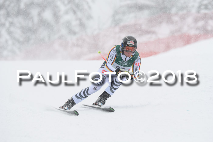 FIS, Int. Dt. Meisterschaft Super-G, NC,  Damen + Herren, 23.03.2018