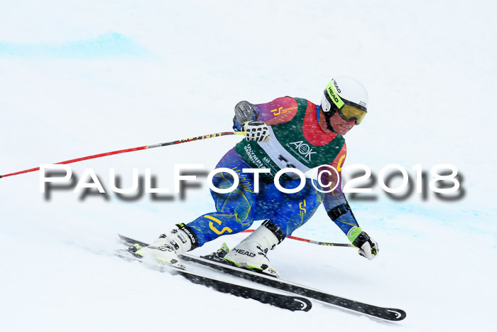 FIS, Int. Dt. Meisterschaft Super-G, NC,  Damen + Herren, 23.03.2018