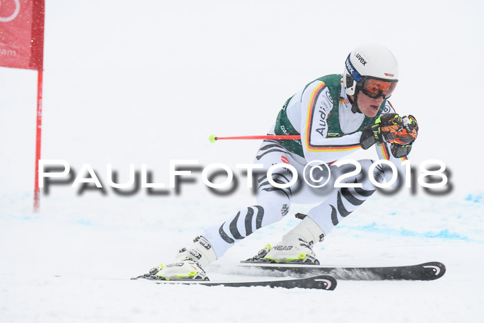 FIS, Int. Dt. Meisterschaft Super-G, NC,  Damen + Herren, 23.03.2018