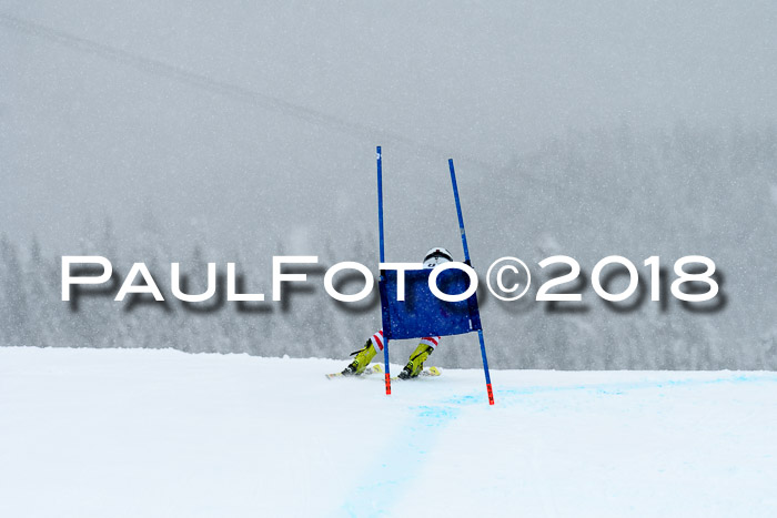 FIS, Int. Dt. Meisterschaft Super-G, NC,  Damen + Herren, 23.03.2018