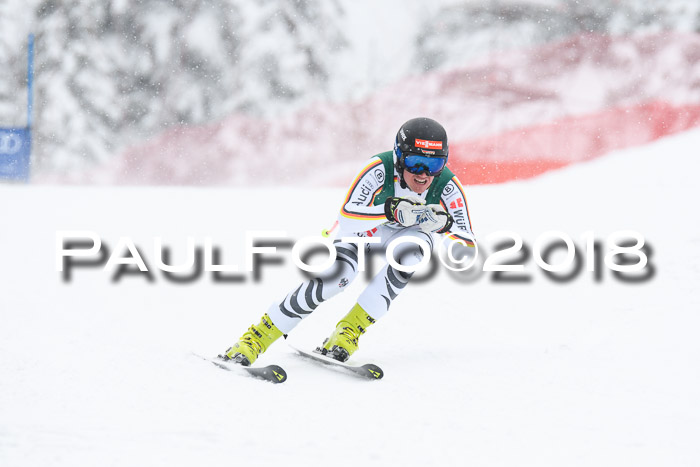 FIS, Int. Dt. Meisterschaft Super-G, NC,  Damen + Herren, 23.03.2018