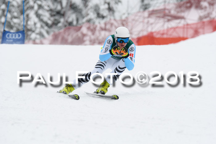 FIS, Int. Dt. Meisterschaft Super-G, NC,  Damen + Herren, 23.03.2018