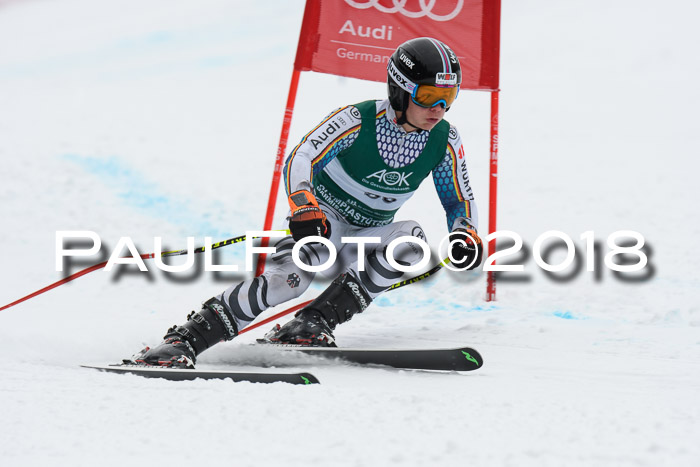 FIS, Int. Dt. Meisterschaft Super-G, NC,  Damen + Herren, 23.03.2018