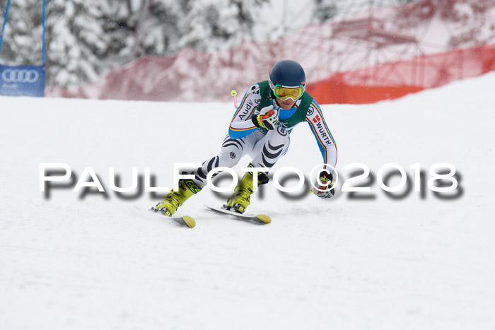 FIS, Int. Dt. Meisterschaft Super-G, NC,  Damen + Herren, 23.03.2018