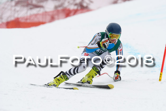 FIS, Int. Dt. Meisterschaft Super-G, NC,  Damen + Herren, 23.03.2018