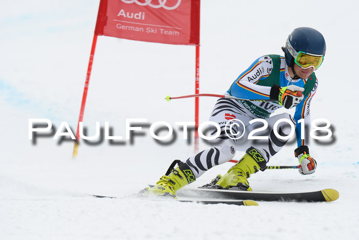 FIS, Int. Dt. Meisterschaft Super-G, NC,  Damen + Herren, 23.03.2018