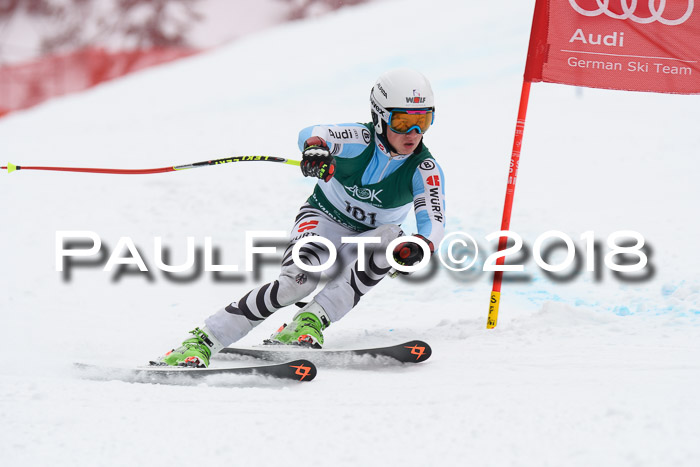 FIS, Int. Dt. Meisterschaft Super-G, NC,  Damen + Herren, 23.03.2018