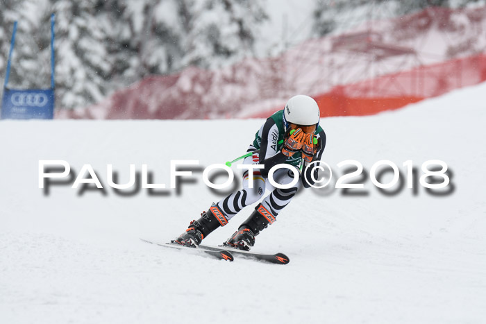 FIS, Int. Dt. Meisterschaft Super-G, NC,  Damen + Herren, 23.03.2018