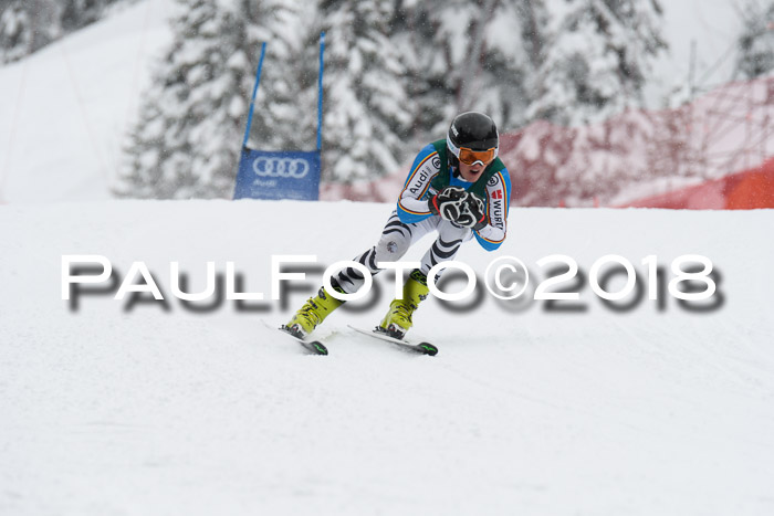 FIS, Int. Dt. Meisterschaft Super-G, NC,  Damen + Herren, 23.03.2018