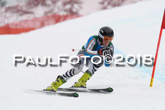 FIS, Int. Dt. Meisterschaft Super-G, NC,  Damen + Herren, 23.03.2018