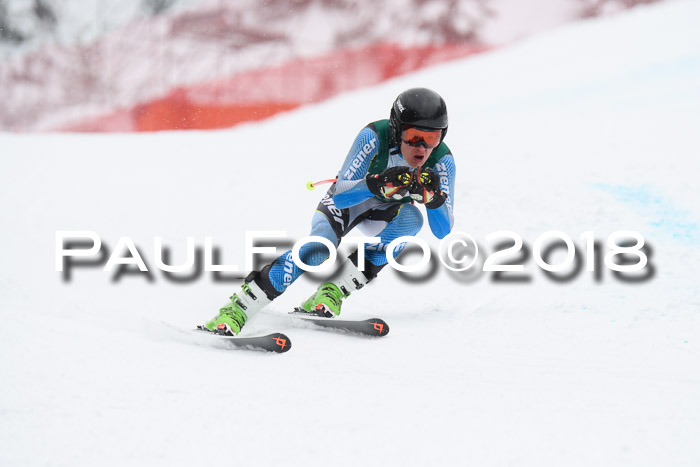 FIS, Int. Dt. Meisterschaft Super-G, NC,  Damen + Herren, 23.03.2018