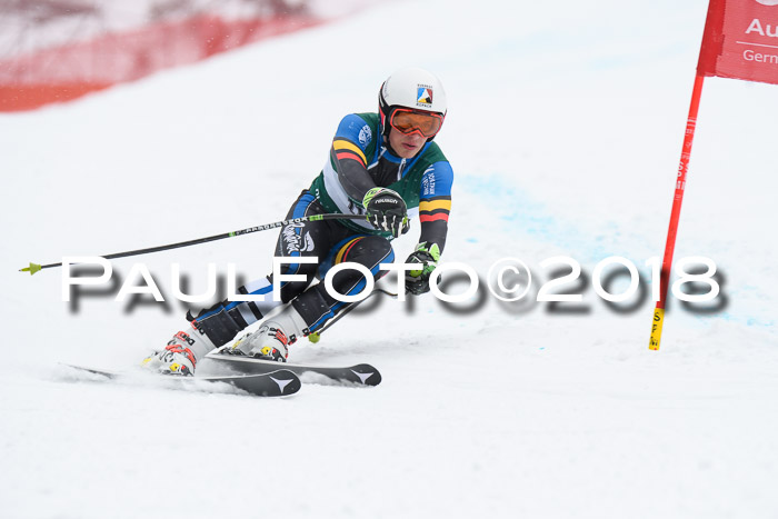 FIS, Int. Dt. Meisterschaft Super-G, NC,  Damen + Herren, 23.03.2018