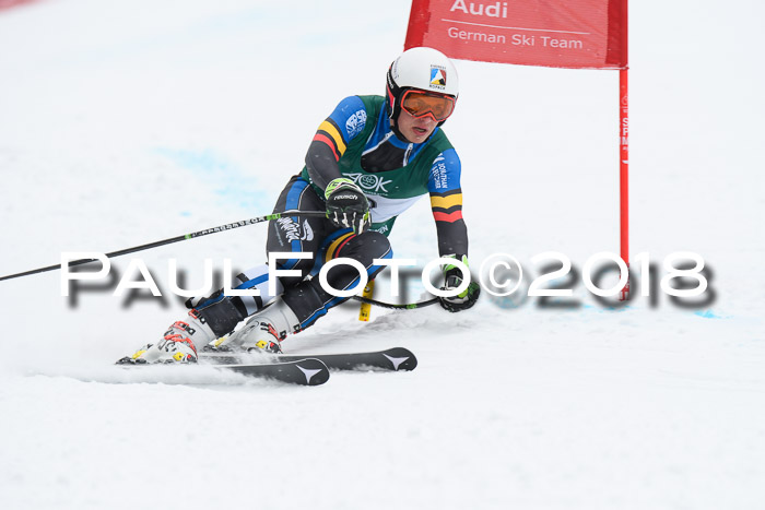 FIS, Int. Dt. Meisterschaft Super-G, NC,  Damen + Herren, 23.03.2018