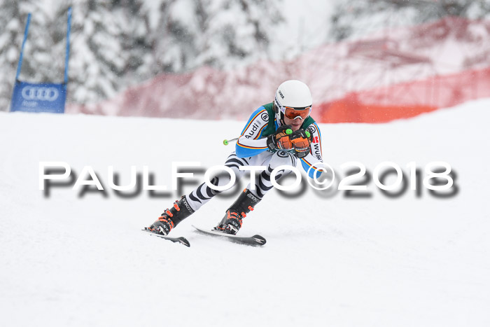 FIS, Int. Dt. Meisterschaft Super-G, NC,  Damen + Herren, 23.03.2018