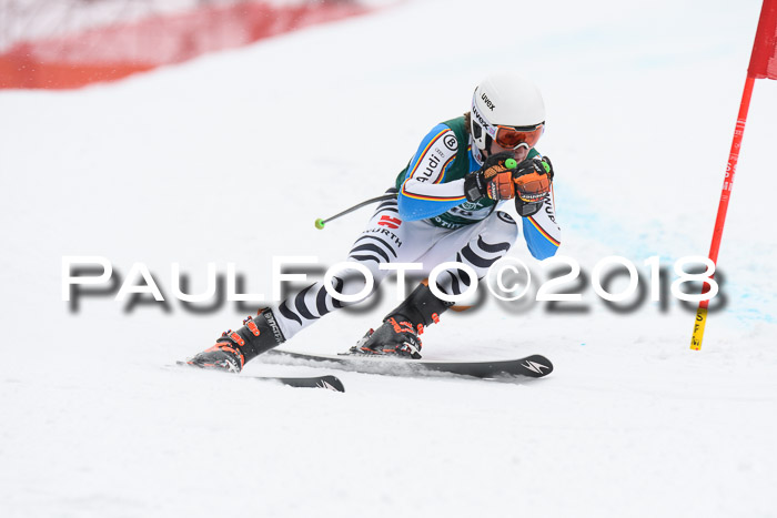 FIS, Int. Dt. Meisterschaft Super-G, NC,  Damen + Herren, 23.03.2018