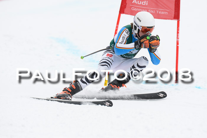 FIS, Int. Dt. Meisterschaft Super-G, NC,  Damen + Herren, 23.03.2018