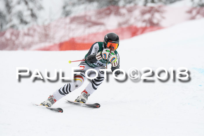 FIS, Int. Dt. Meisterschaft Super-G, NC,  Damen + Herren, 23.03.2018