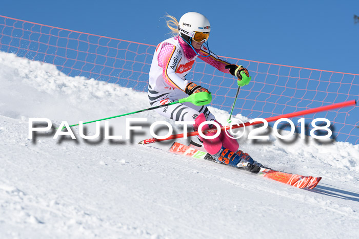 Int. Deutsche Meisterschaft Slalom 25.03.2018