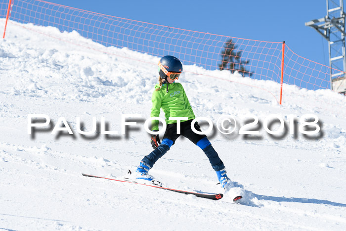 Int. Deutsche Meisterschaft Slalom 25.03.2018