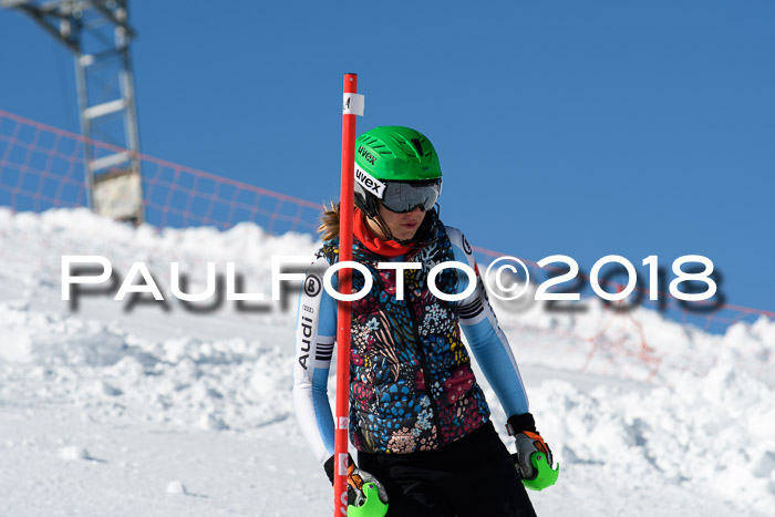 Int. Deutsche Meisterschaft Slalom 25.03.2018