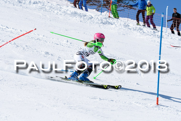 Int. Deutsche Meisterschaft Slalom 25.03.2018