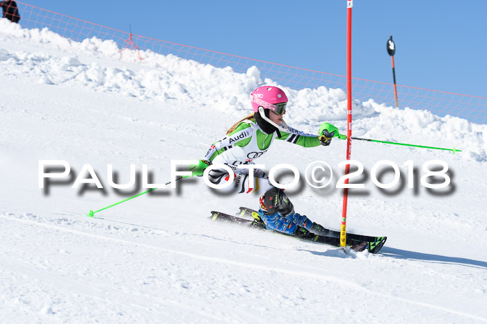 Int. Deutsche Meisterschaft Slalom 25.03.2018