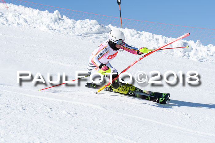 Int. Deutsche Meisterschaft Slalom 25.03.2018