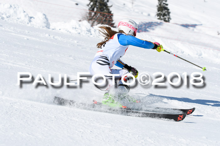 Int. Deutsche Meisterschaft Slalom 25.03.2018