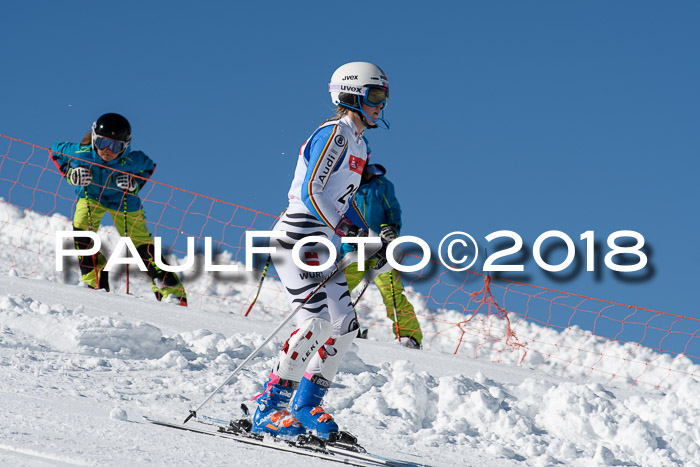 Int. Deutsche Meisterschaft Slalom 25.03.2018