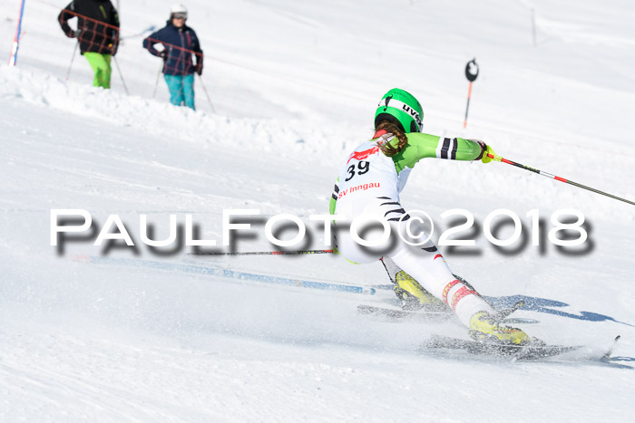 Int. Deutsche Meisterschaft Slalom 25.03.2018